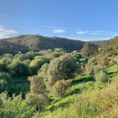 Indigo Appartement *